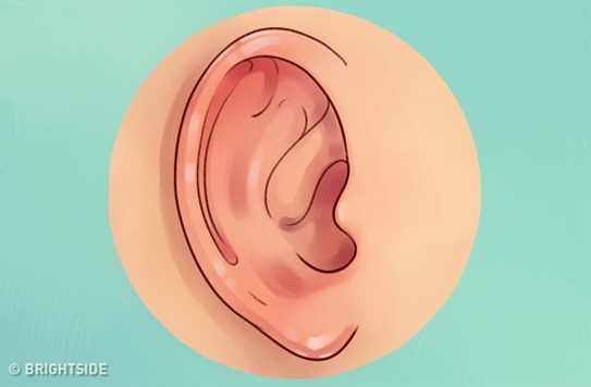 Đừng xem thường, tai không chỉ để nghe và xem tướng mà còn chẩn bệnh được đấy - ảnh 5