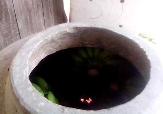Ăn chuối dấm bằng hương có độc không? Ăn chuối dấm bằng hương có độc không? - ảnh 1