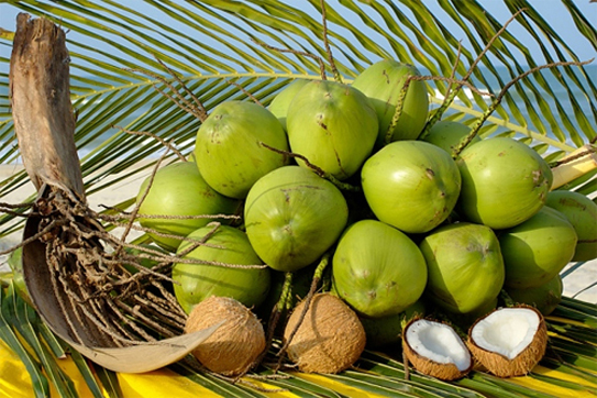 Trái cây giải nhiệt mùa nóng - ảnh 5